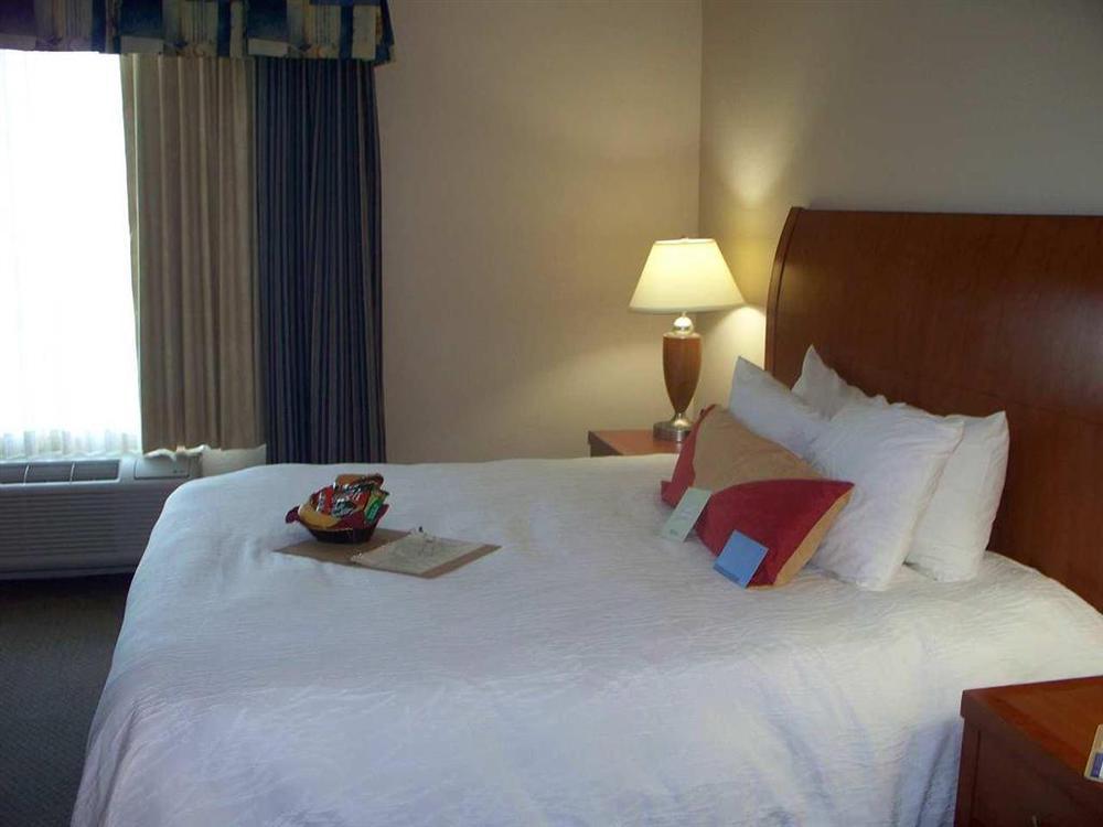Hilton Garden Inn Washington Dc/Ґрінбелт Номер фото